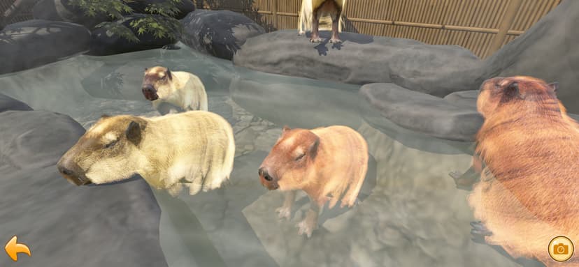 Capybara Spa screenshot 1 - screenshot