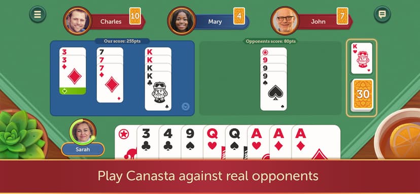 Canasta Fun & Friends screenshot 1 - screenshot