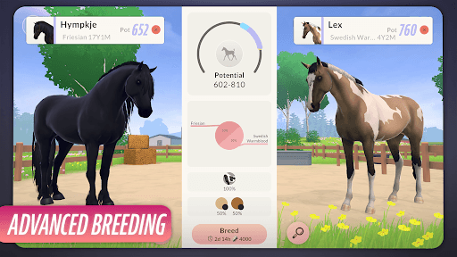 Equestrian the Game screenshot 5 - screenshot