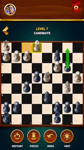 Chess - Offline Board Game screenshot 5 - screenshot